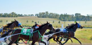 Horse Racing Lacombe